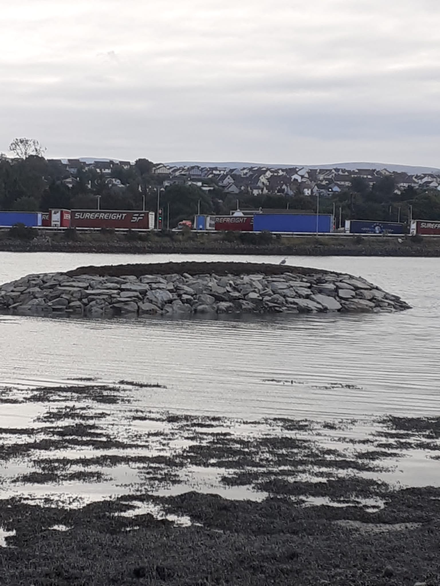 Narrow Water Bridge Roost Site